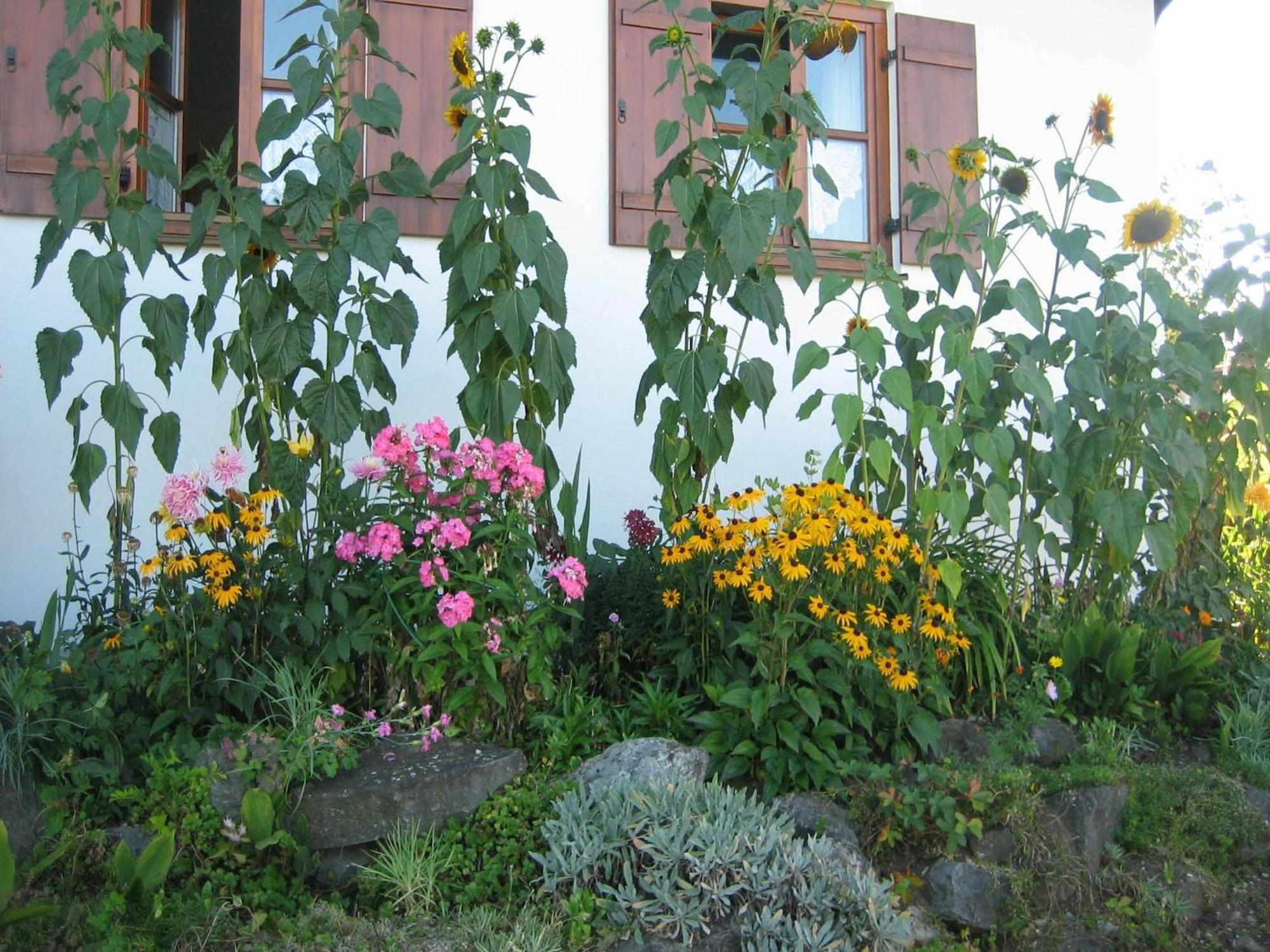 Apartment In The Allg U With View Of The Bavarian Alps Bernbeuren エクステリア 写真