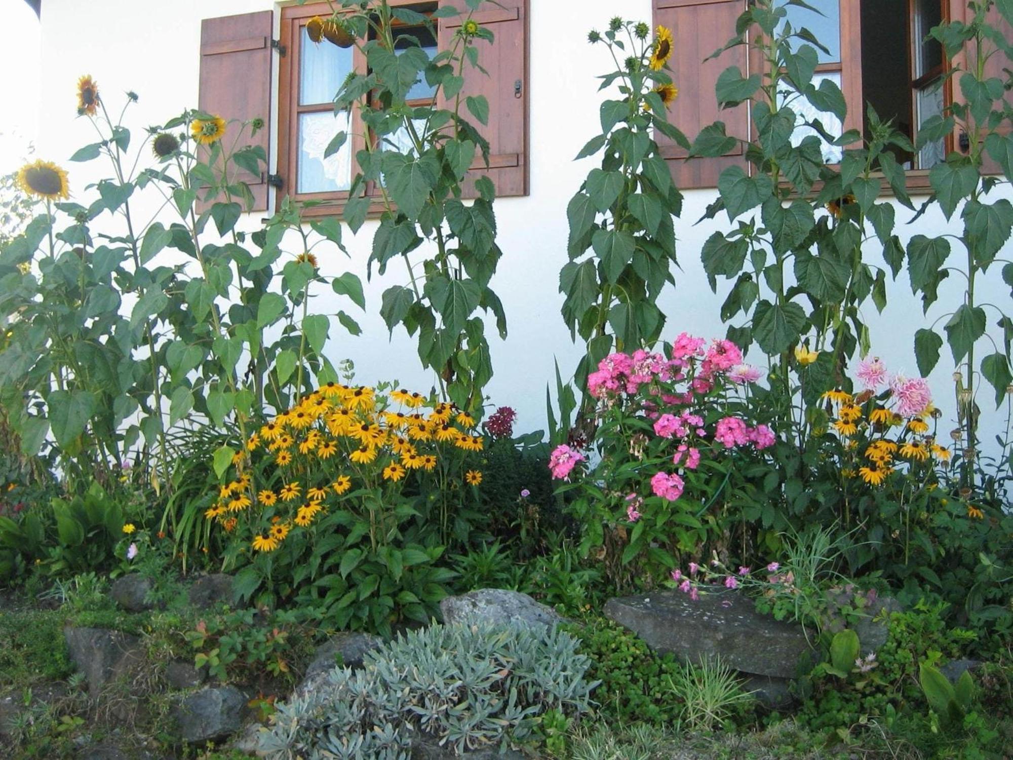 Apartment In The Allg U With View Of The Bavarian Alps Bernbeuren エクステリア 写真